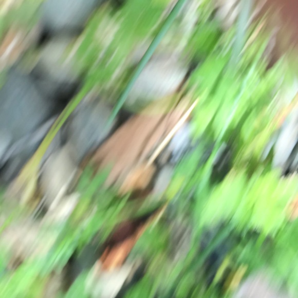 Meet your Posher, James - Picture 1 of 1